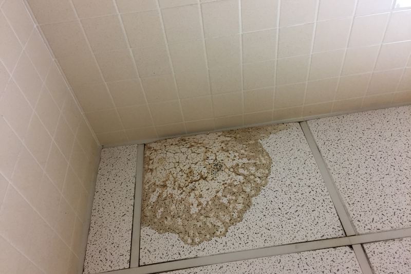 Decke mit Wasserflecken und Leckageschäden